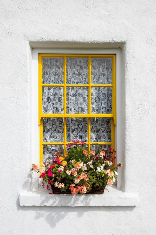 Katie'S Cottage Bellaghy Kültér fotó