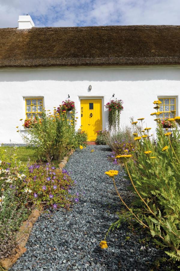 Katie'S Cottage Bellaghy Kültér fotó