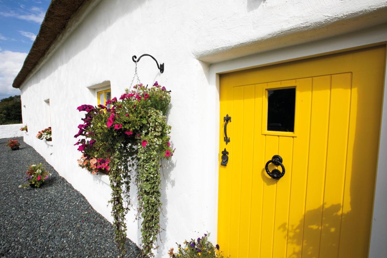 Katie'S Cottage Bellaghy Kültér fotó